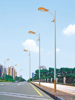 LED road Lights